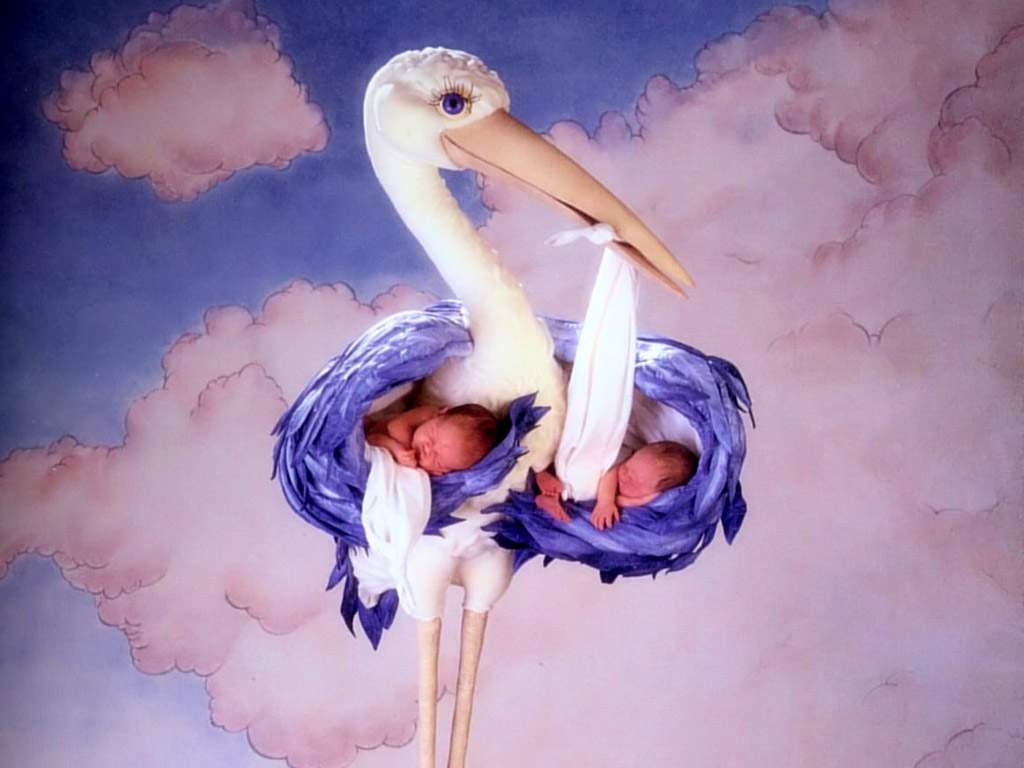 ANNE GEDDES 宝宝